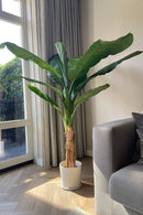 Bananier Artificiel – 150 Cm – Plante Artificielle