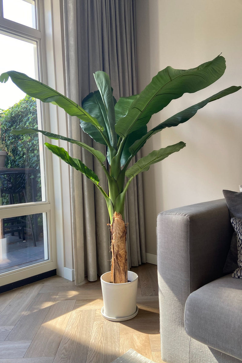 Bananier Artificiel – 150 Cm – Plante Artificielle