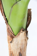 Bananier Artificiel – 150 Cm – Plante Artificielle