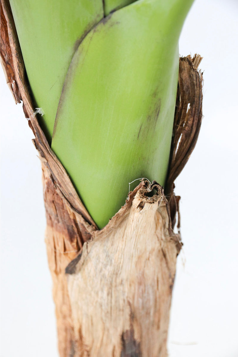 Bananier Artificiel – 150 Cm – Plante Artificielle