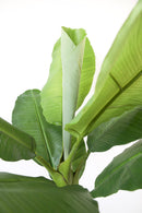 Bananier Artificiel – 150 Cm – Plante Artificielle