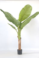 Bananier Artificiel – 150 Cm – Plante Artificielle