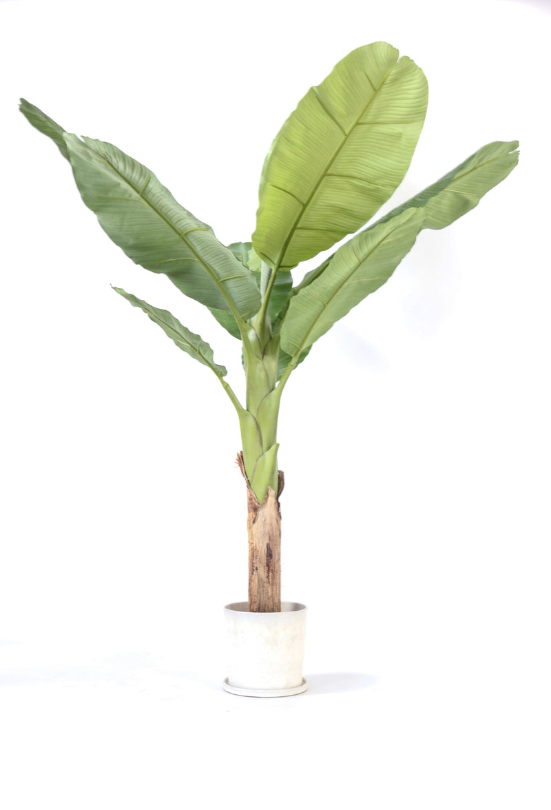 Bananier Artificiel – 150 Cm – Plante Artificielle