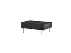 Mathilde - Coffee Table 2 Drawers - Black Legs