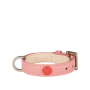 Collar para Perro XS - Le Pliage Illustration - Rosa Pálido