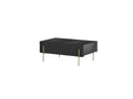 Mathilde - Coffee Table 2 Drawers - Gold Legs