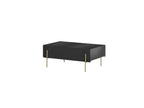 Mathilde - Coffee Table 2 Drawers - Gold Legs