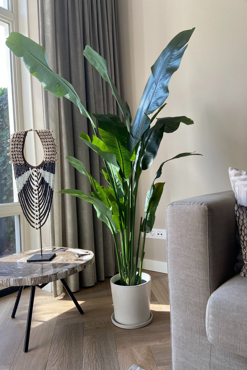 Oiseau De Paradis Artificiel – 160 Cm – Plante Artificielle