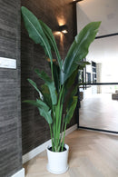 Oiseau De Paradis Artificiel – 160 Cm – Plante Artificielle