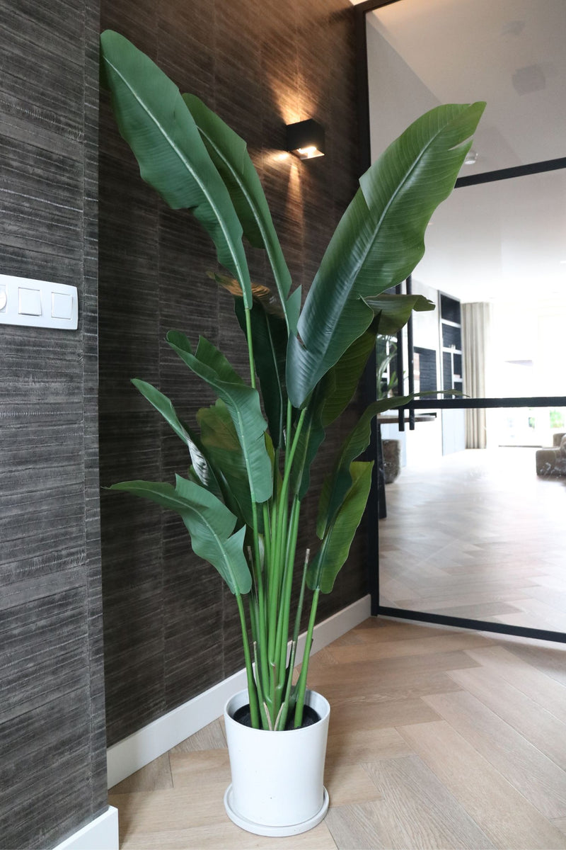 Oiseau De Paradis Artificiel – 160 Cm – Plante Artificielle