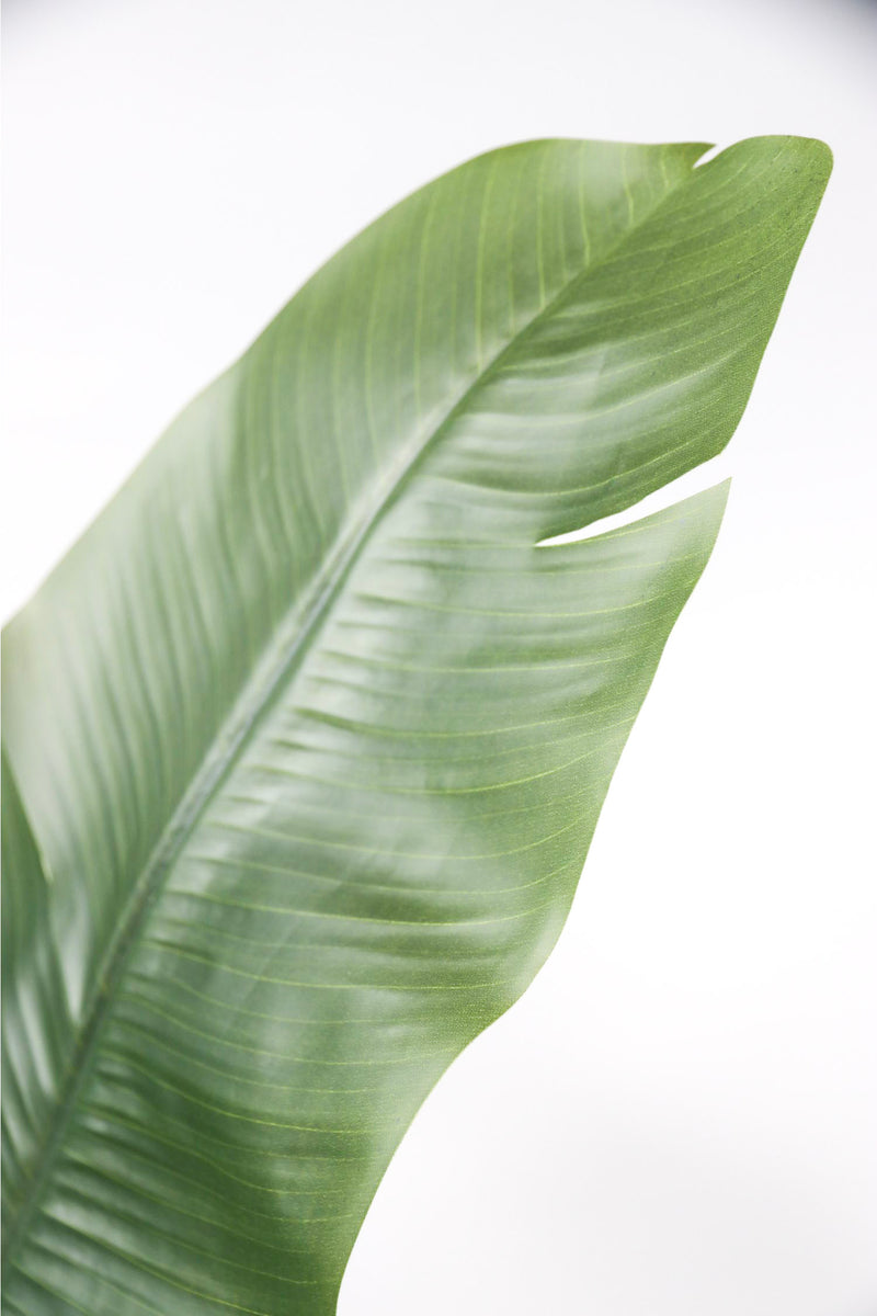 Oiseau De Paradis Artificiel – 160 Cm – Plante Artificielle