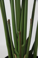 Oiseau De Paradis Artificiel – 160 Cm – Plante Artificielle