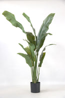 Oiseau De Paradis Artificiel – 160 Cm – Plante Artificielle