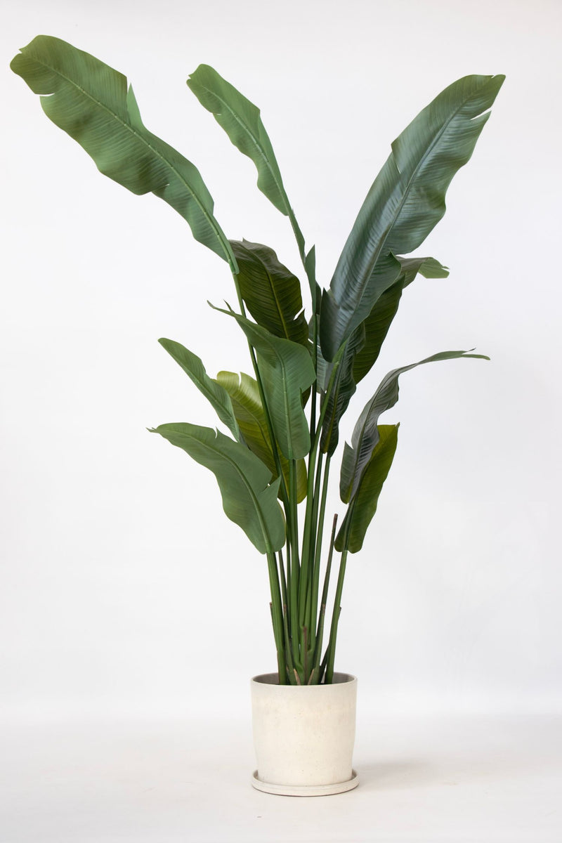 Oiseau De Paradis Artificiel – 160 Cm – Plante Artificielle