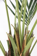 Palmier Kentia Artificiel – 150 Cm – Plante Artificielle