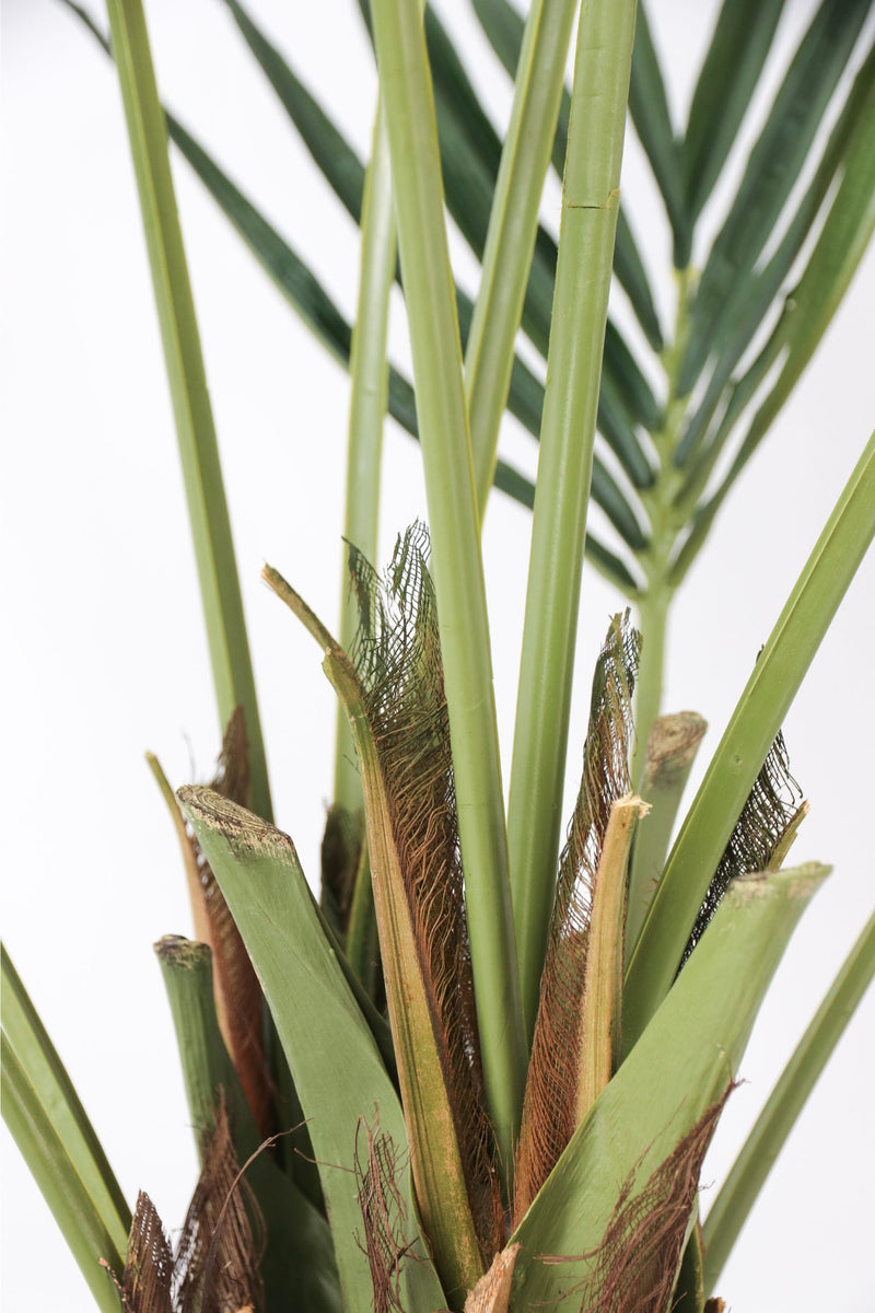 Palmier Kentia Artificiel – 150 Cm – Plante Artificielle
