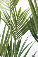 Palmier Kentia Artificiel – 150 Cm – Plante Artificielle