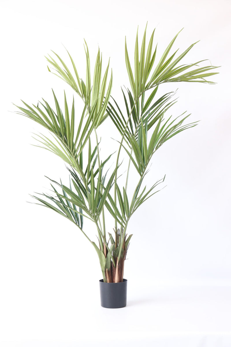 Palmier Kentia Artificiel – 150 Cm – Plante Artificielle