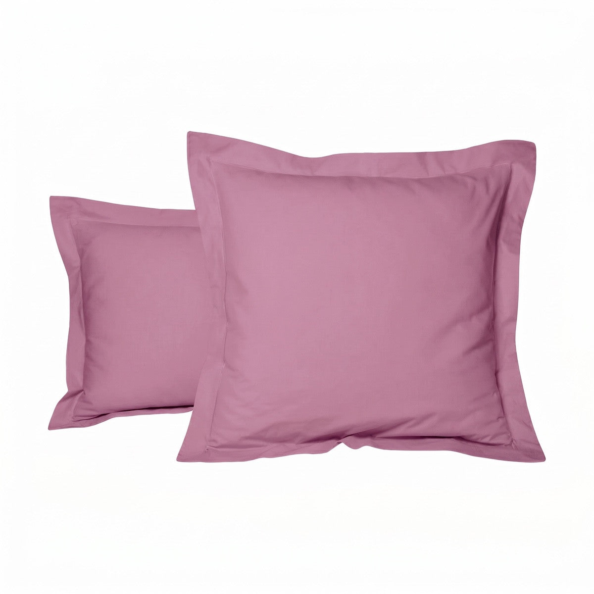 Uni Percale - Taie Oreiller - Prune