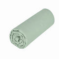 Uni Percale - Drap Housse Double - Fougere