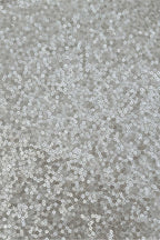 Heloise Sequin Dress