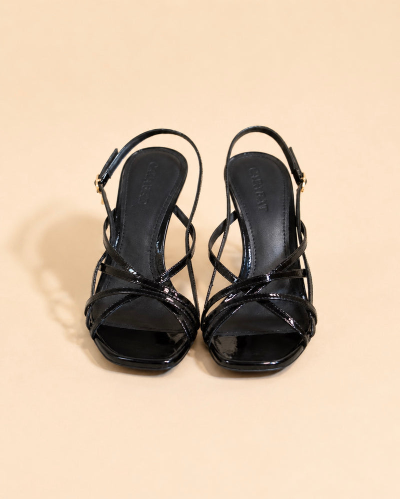 Sage In Black Naplak