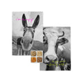 Canovaccio (2 Pezzi) Farm - Multicolore