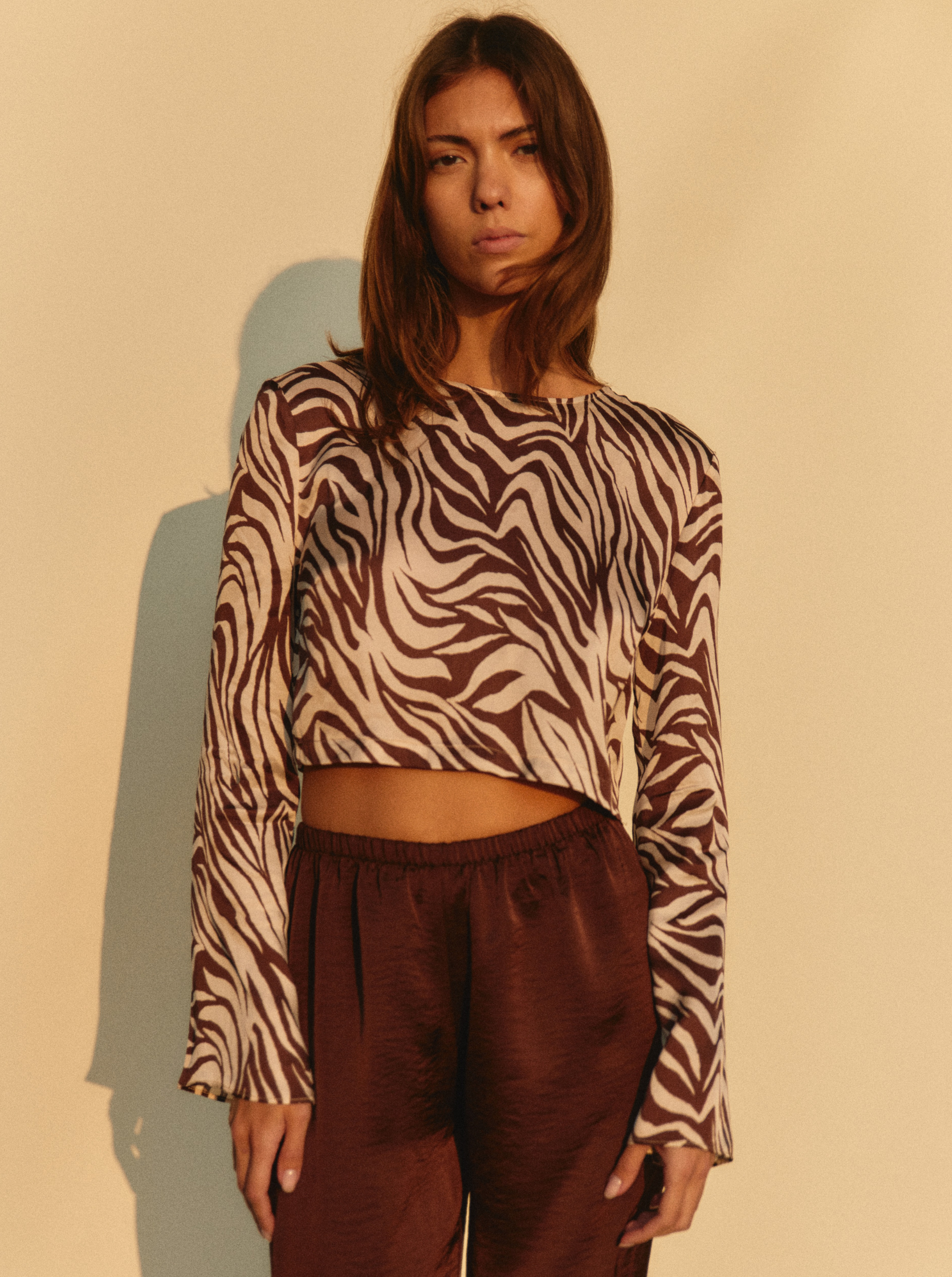 Top Chocolate Zebra