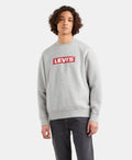 Polera Hombre T3 Relaxed Graphic Crew Levi'S