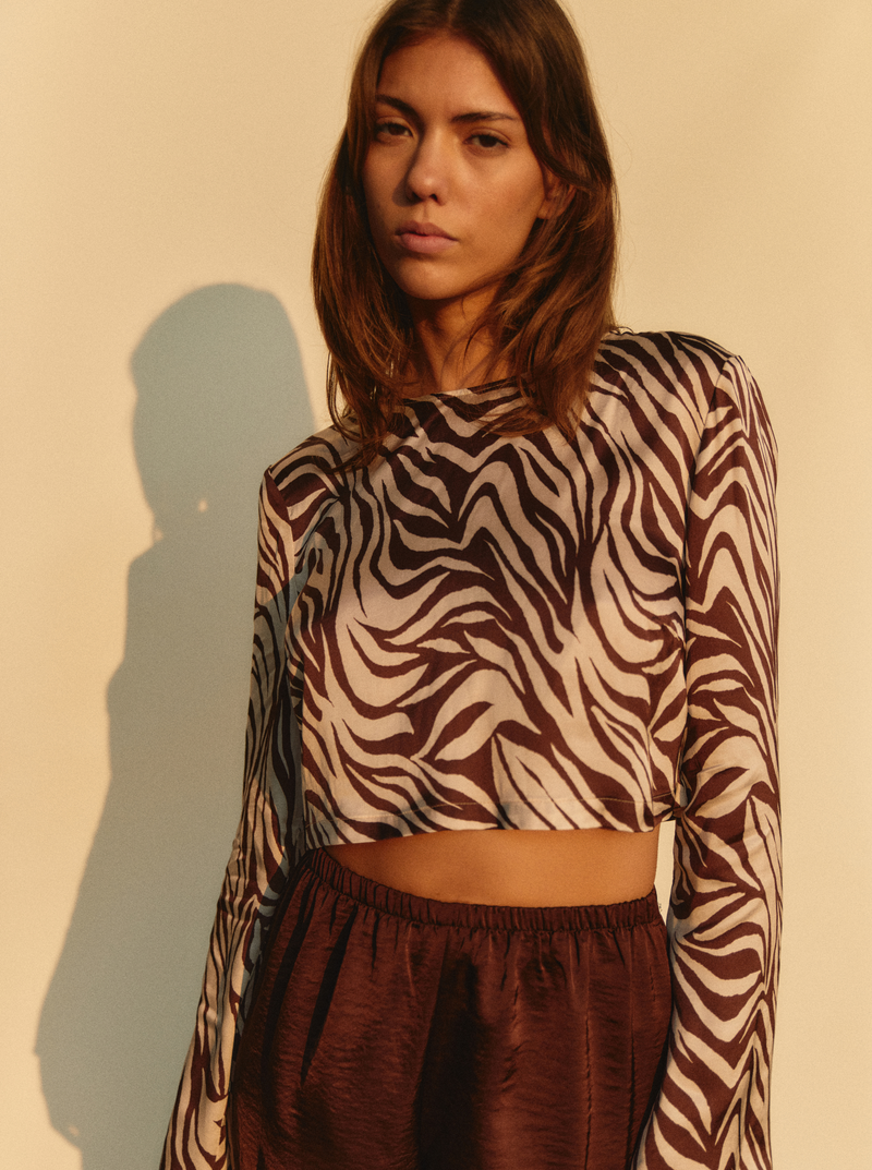 Top Chocolate Zebra Zebré