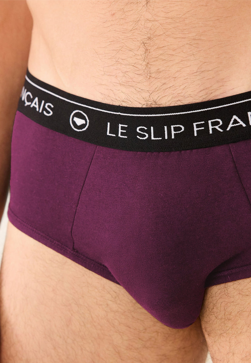 Lot De 2 Slips En Coton - Prune