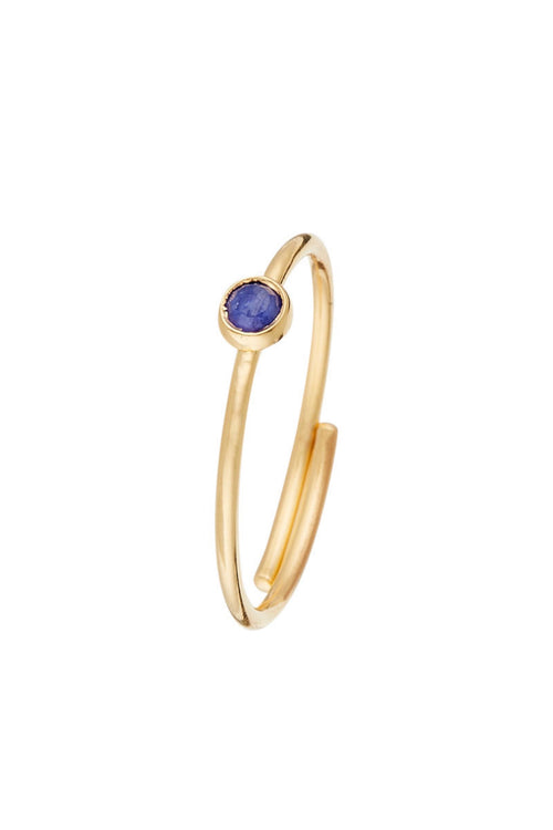 Adjustable Ring "Point" Blue Cyanite - Gold Brass