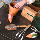 Trio Mini Olla - Les Rayés