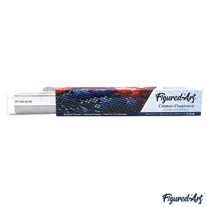 Broderie Diamant - Femme Et Océan