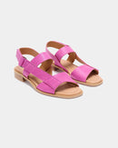 Gobio Fucsia