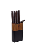 Set Of 5 Pieces - Kitchen Knives - Titanium