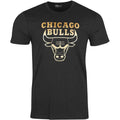 Tee-Shirt New Era Chicago Bulls Graphique