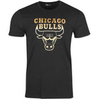 Tee-Shirt New Era Chicago Bulls Graphique
