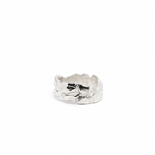 Anillo de roca 02