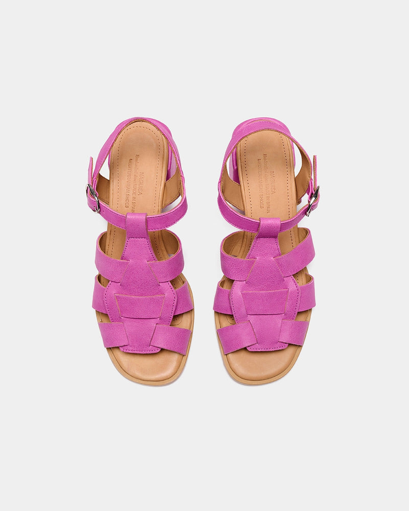 Alosa Fucsia