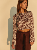 Top Chocolate Zebra Marron