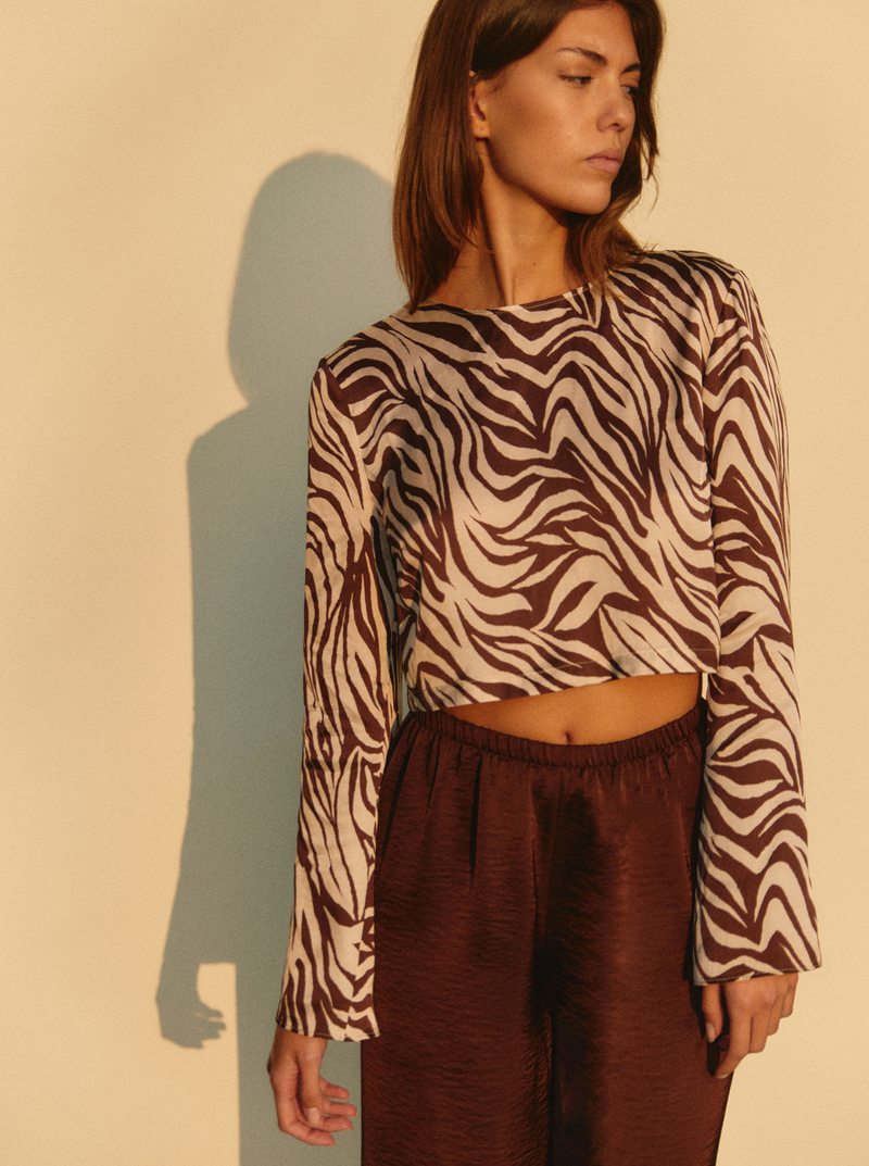 Top Chocolate Zebra Marron