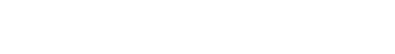 https://visuals.thebradery.com/operations/01a0c91f-2c4b-7153-bc10-a7e88f13d573/visuals/LOGO/44420cbb-eca4-4bb0-b6a0-414f21392c4e.png