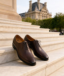 Richelieu Dario - Marron