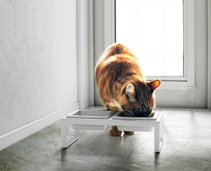 Double Gamelle Design Pour Animaux - Tower - Blanc