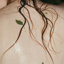 Wild Woods Savon Hydratant