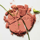 Magnetic Blush Fard À Joues Minéral