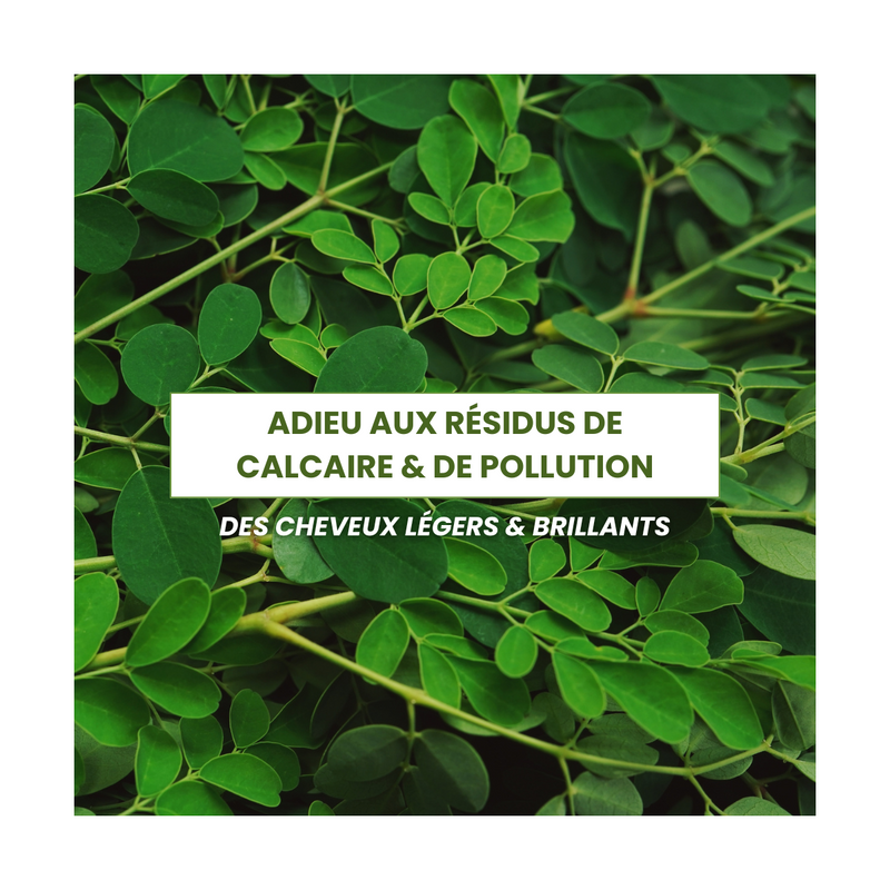 Cure Detox Cuir Chevelu