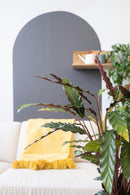 Calathea ‘Wavestar’ – Plantes D’Intérieur