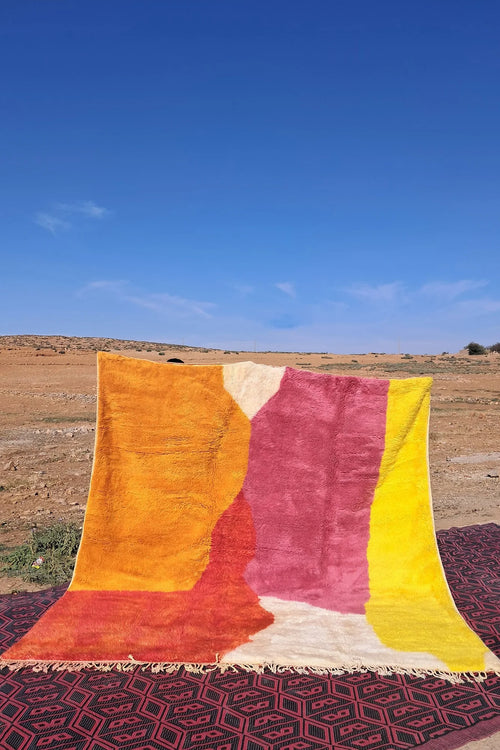 Tapis Collection Them - 295 x 290 cm